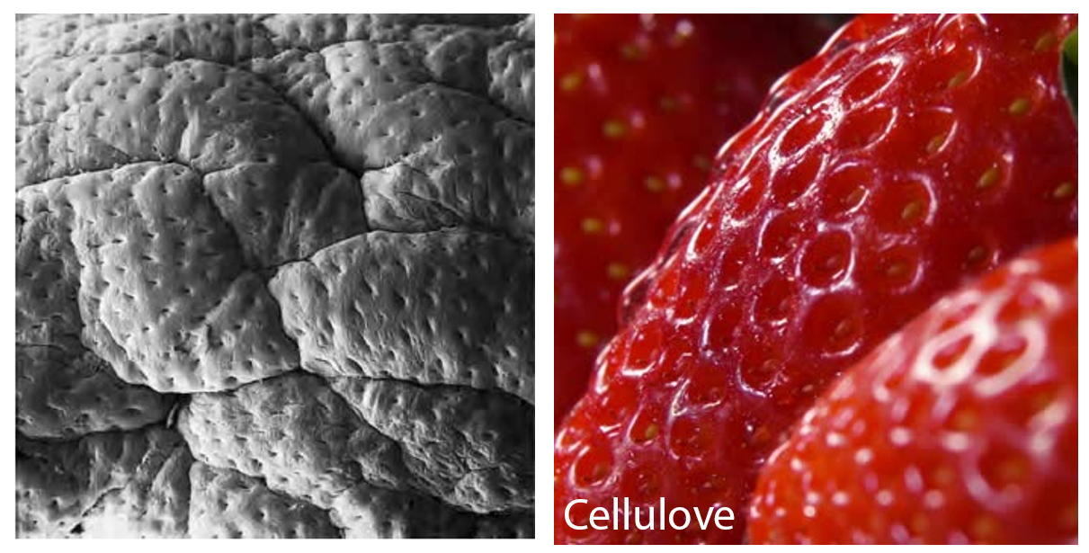 fibonacci sequence in strawberries