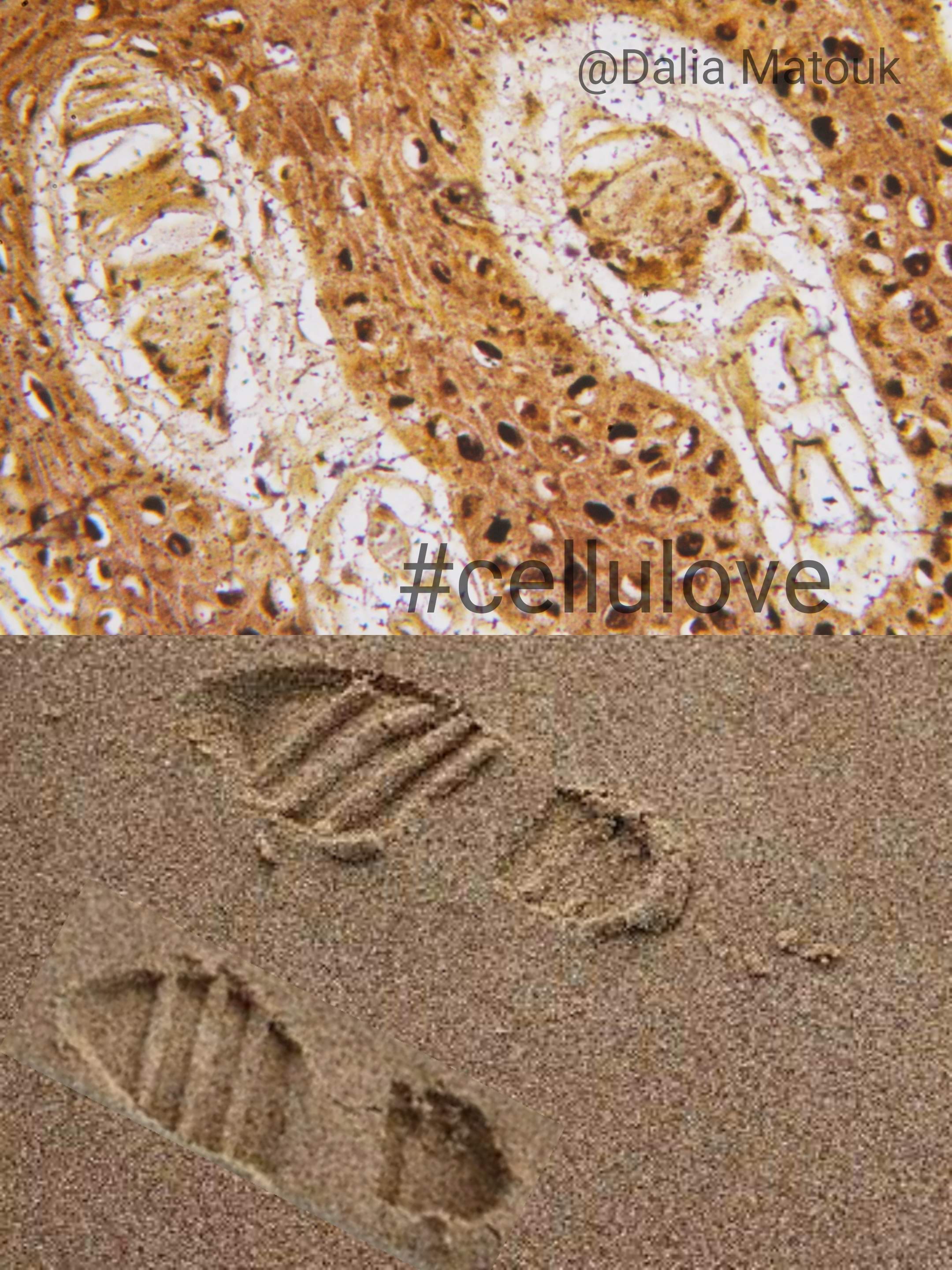 sensory sand foot prints